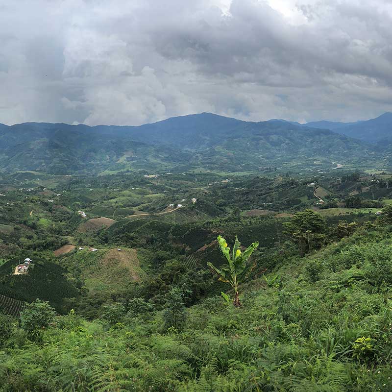Huila_1