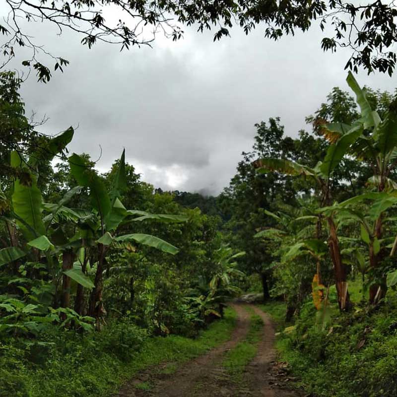 On-the-road-to-farms
