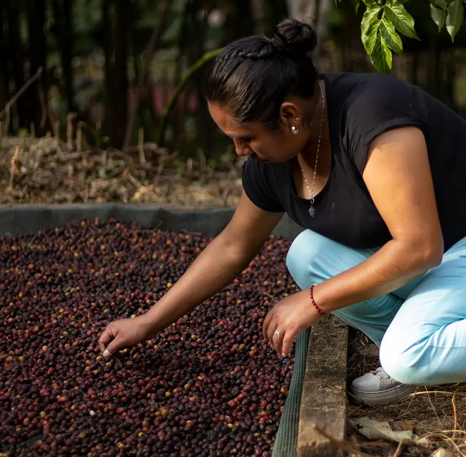 farmer_cherries_juba