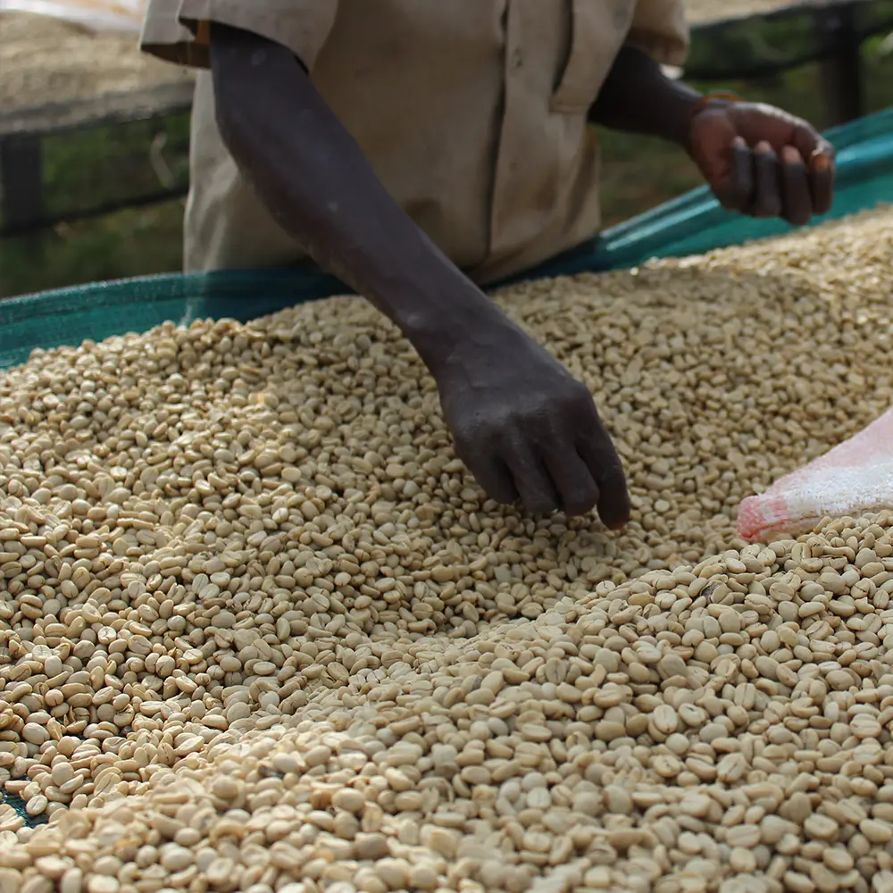 Burundi_Nemba_02
