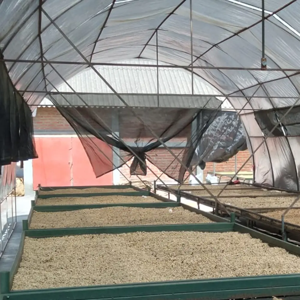 Honey_Drying