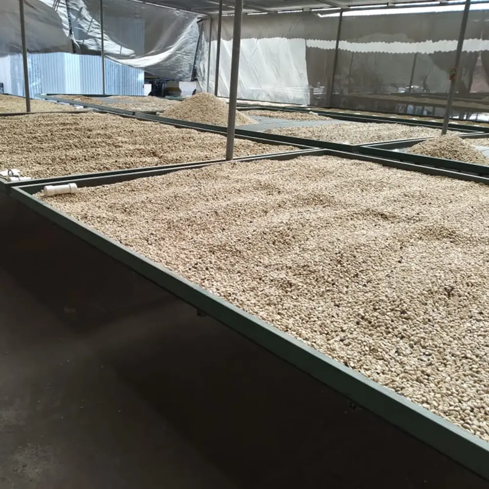 Honey_Drying2