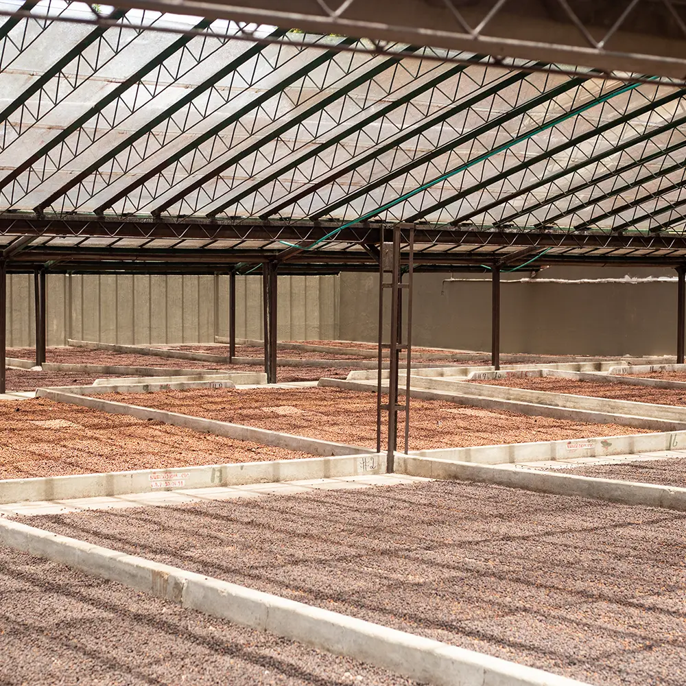 Honey_drying