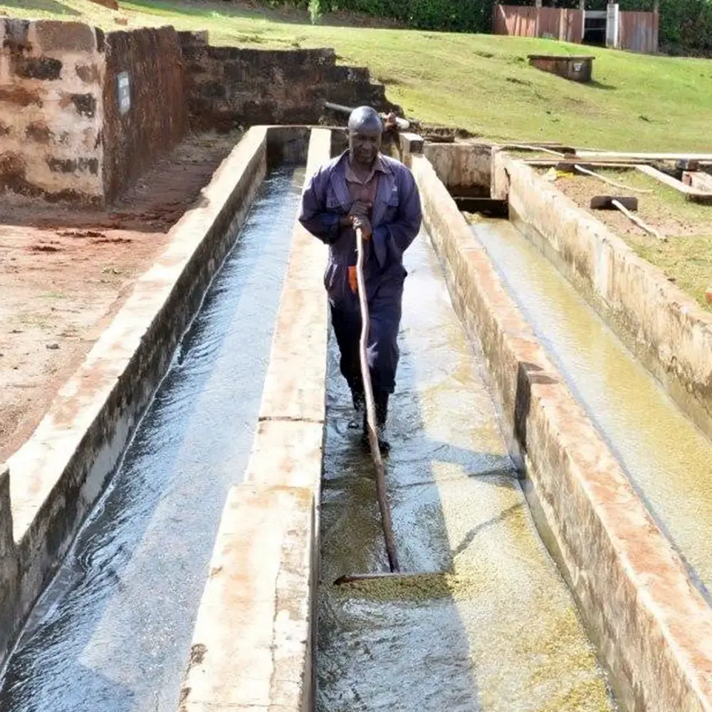 Kenya_Gititu